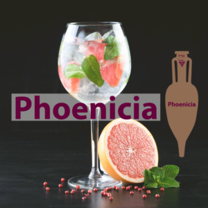 Gin